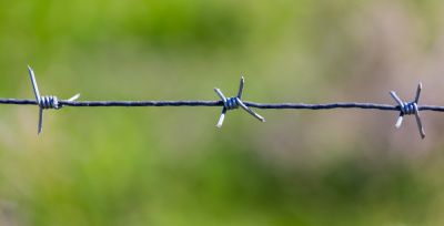 Deters trespassers effectively