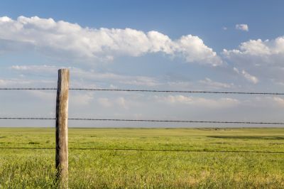 Cost-effective fencing solution