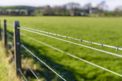 Local Fencing Services